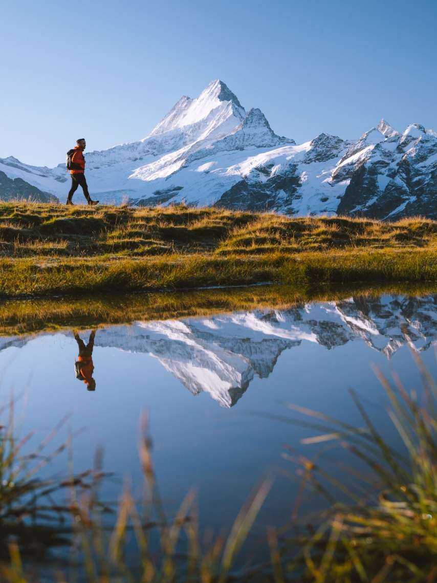 Multiportal Lösung für die Jungfrauregion